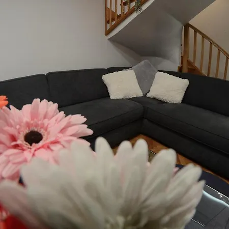 Dobraya Blue Nowy Sad