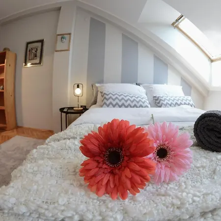 Dobraya Blue * Novi Sad